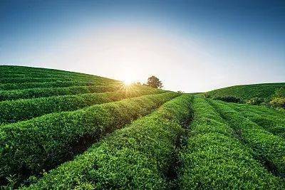 國際視野下的英國土壤污染防治 技術體系與服務模式概述