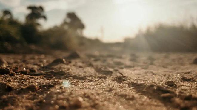 挪亞土壤重金屬污染檢測服務 以精準數據助力環境治理，凝聚土壤生命力