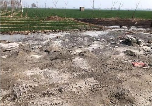 鶴壁浚縣善堂鎮商砼站污染環境之困 誰來監管與土壤防治服務如何破局