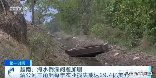 德崇扶南運河開建 地緣經濟新動脈與土壤環境保護的雙重考量